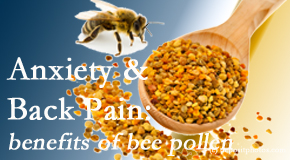 Young Chiropractic presents info on the benefits of bee pollen on cognitive function that may be impaired when dealing with back pain.