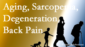 Young Chiropractic relieves a lot of back pain and sees a lot of related sarcopenia and back muscle degeneration.
