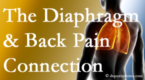 Young Chiropractic recognizes the relationship of the diaphragm to the body and spine and back pain. 