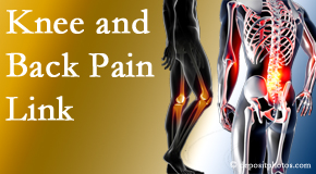 Young Chiropractic treats back pain and knee osteoarthritis to help prevent falls.