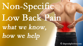 Young Chiropractic describes the specific characteristics and treatment of non-specific low back pain. 