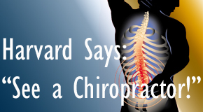 Easley chiropractic for back pain relief urged by Harvard