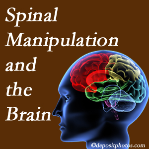 Young Chiropractic [presents research on the benefits of spinal manipulation for brain function. 