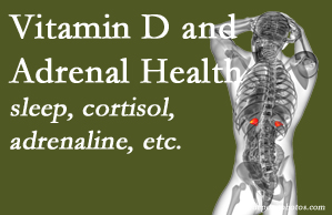 Young Chiropractic shares new studies about the effect of vitamin D on adrenal health and function.